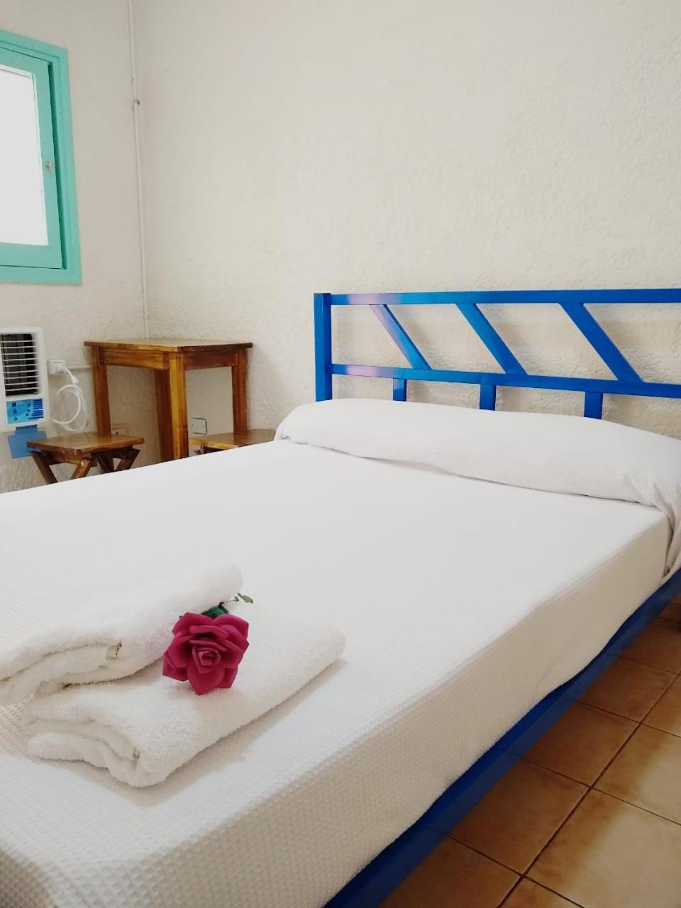 Black Sheep International Hostel Mendoza Eksteriør bilde